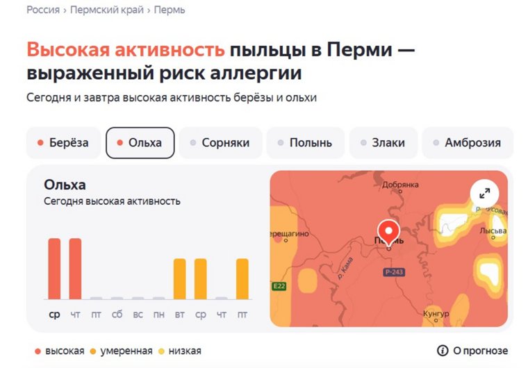 Сезонная аллергия на пыльцу остается актуальной проблемой для миллионов