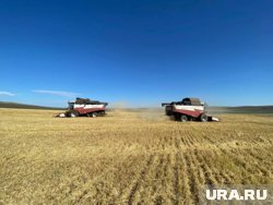 Челябинская область лидирует в АПК