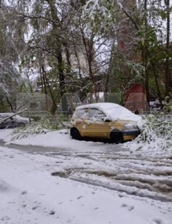 Несколько автомобилей пострадали из-за сильного снегопада
