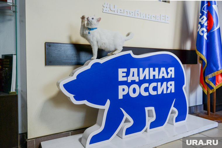 Челябинская область вошла в число регионов-лидеров по активности жителей в праймериз
