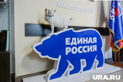 Челябинская область вошла в число регионов-лидеров по активности жителей в праймериз