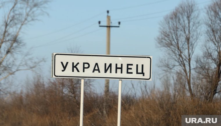 В деревне Украинец выставили на продажу пять участков 