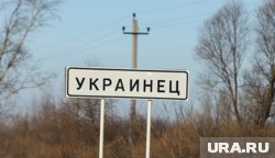 В деревне Украинец выставили на продажу пять участков 