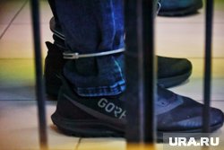 20 лет грозит российскому ученому в США за контрабанду лягушек