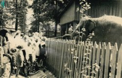 Пермский зоопарк считается одним из старейших в стране