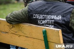 СК впервые прокомментировал обыски в редакции telegram-канала Baza