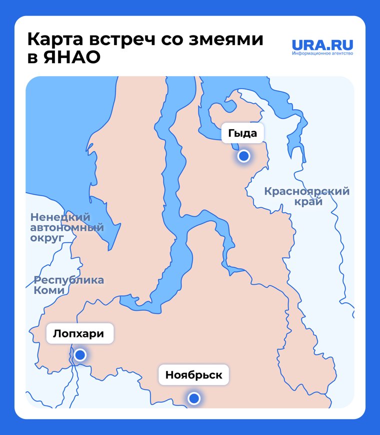 Карта встреч со змеями в ЯНАО в 2025 году 