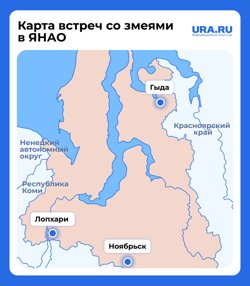Карта встреч со змеями в ЯНАО в 2025 году 
