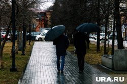 Сильный дождь ожидает свердловчан 21 июня