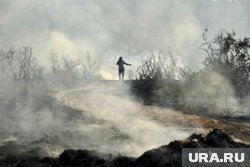 Лесные пожары на Кипре охватили популярные туристические регионы возле Лимасола