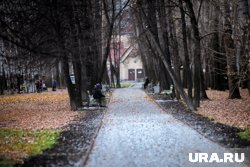На благоустройство парка выделили более 590 миллионов рублей