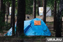 Палаточные лагеря можно разбить в нескольких километрах от Тюмени 
