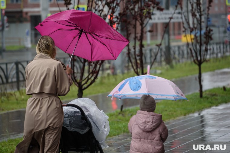 Спасатели рекомендуют отказаться от выездов на природу при сильном ветре (архивное фото)