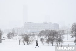 В Екатеринбурге 2 марта температура поднимется до -1 градуса