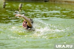 В ХМАО 20 дней ищут девочку, которую унесло сильное течение