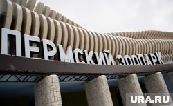 Пермский зоопарк откроется в 2025 году