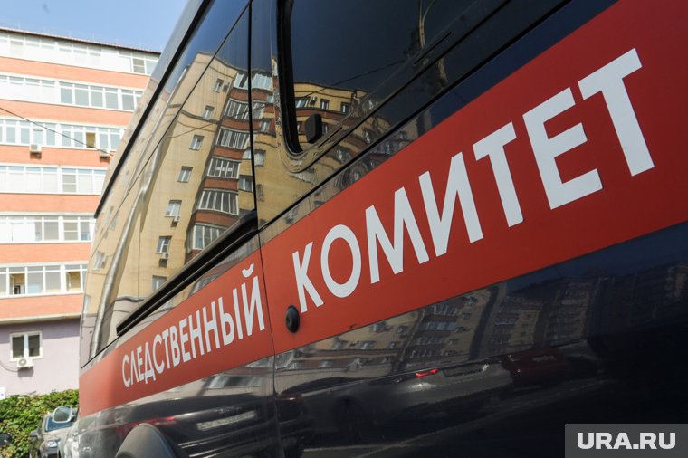 Следствие ходатайствует о заключении челябинки под стражу