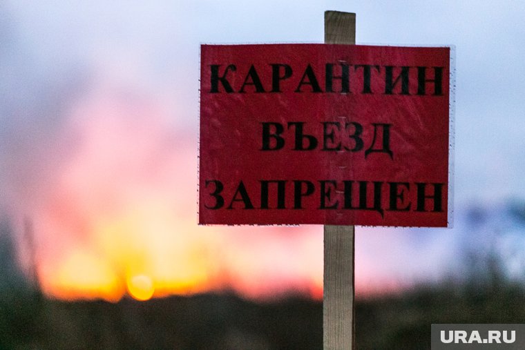 С 21 июля на территории деревни вводится запрет на проведение ярмарок