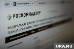 В Роскомнадзоре заявили, что запрещенными артистами являются только иностранные агенты