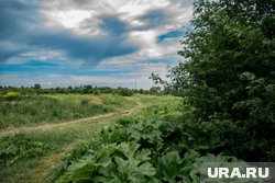 Местами в Прикамье пройдут небольшие дожди