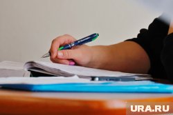 Бывший гендиректор птицефабрики «Боровская» возглавила племзавод на Дальнем Востоке