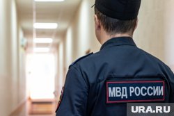 В МВД подтвердили факт задержания