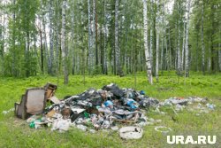 Большинство незаконных свалок находятся в городских лесах