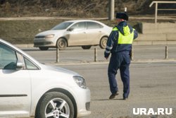 Решается вопрос о возбуждении уголовного дела в отношении нарушителя