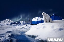РФ и США могли бы работать в разных сферах Арктике, но «держа в уме» конкуренцию, заявил Чекунков