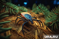 Осенью клещи сохраняют свою активность