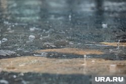 В Санкт-Петербурге в начале месяца ожидаются дожди