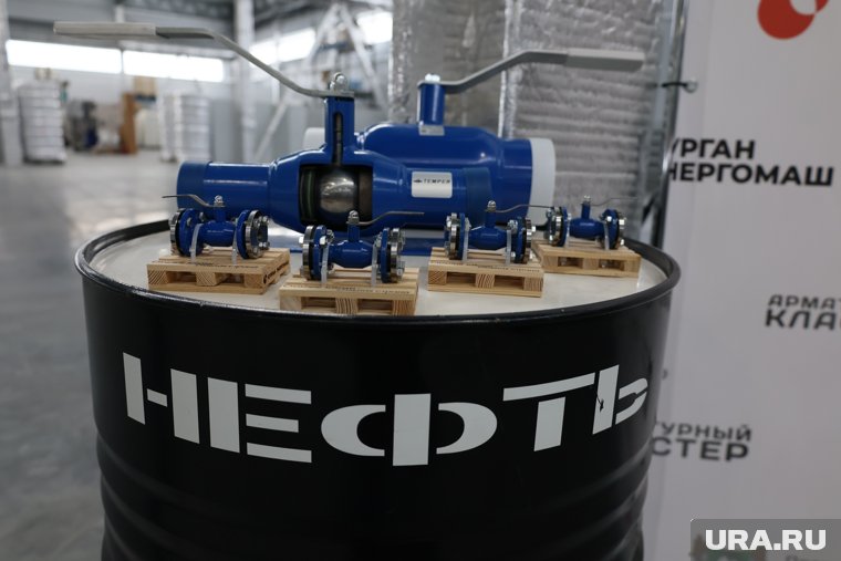 Ученые указали три района Курганской области для поисков нефти