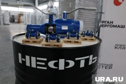 Ученые указали три района Курганской области для поисков нефти