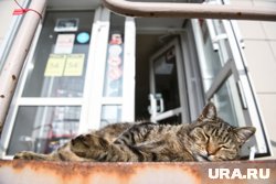 Тепло придет в город