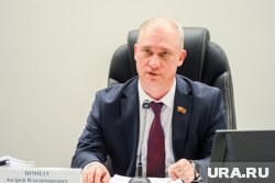 Депутаты гордумы Челябинска приняли решение о выборах в новый состав