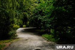В Кургане хулиган с ножом перепугал женщину с детьми, гулявших по тропе в Рябково