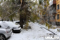 Контрольные выезды проведут по обращениям граждан 