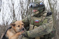 Варя еще щенком попала в артиллерийский батальон (на фото другая собака)
