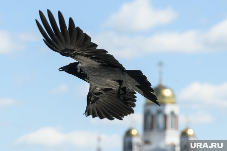 Если в этот день громко пели птицы, на следующий день ждали дождь
