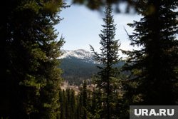 Семья Усольцевых собиралась в поход за несколько дней