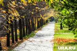 На выходные синоптики обещают теплую погоду