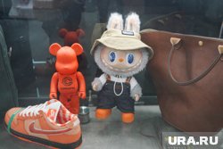Популярные игрушки, например, Лабубу, чаще других покупали респонденты в возрасте от 25 до 34 лет