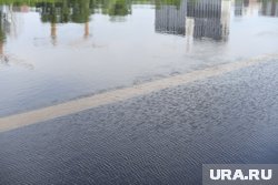 Мужчина нырнул в реку с затопленного яруса набережной