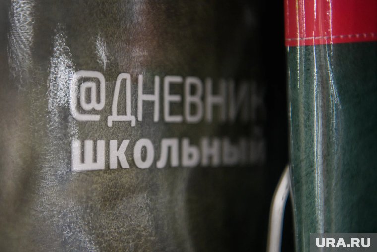 В школах Кургана заполняют систему электронных дневников актуальной информацией