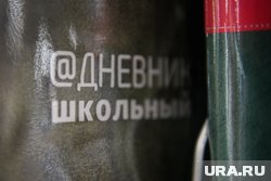 В школах Кургана заполняют систему электронных дневников актуальной информацией