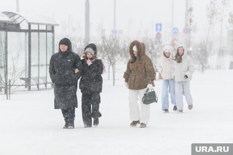 В Курганской области 1 января ожидаются порывы до 16 метров в секунду