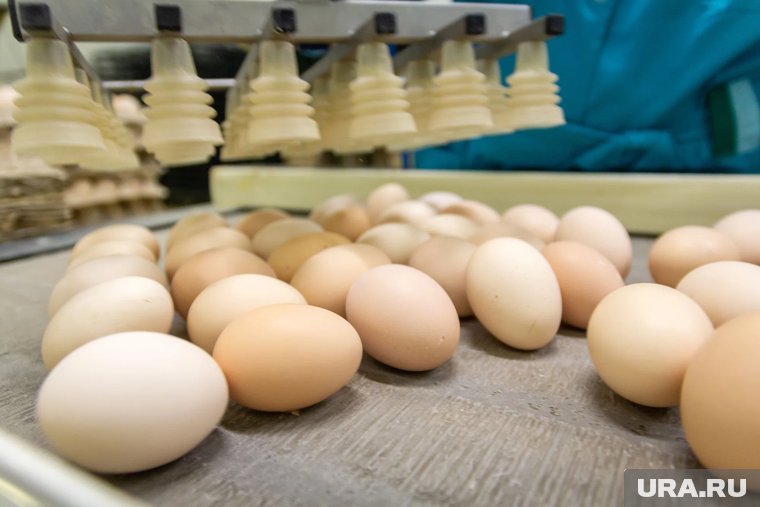 Продажа предприятия позволит покрыть часть дефицита бюджета