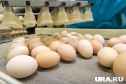 Продажа предприятия позволит покрыть часть дефицита бюджета