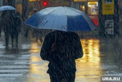 Дождь продлится в Тюмени весь день 