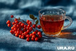 Из калины можно приготовить вкусный витаминный чай